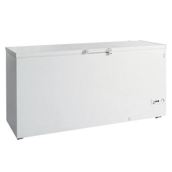 Сундук морозильный Tefcold FR605 SL FR605 SL фото