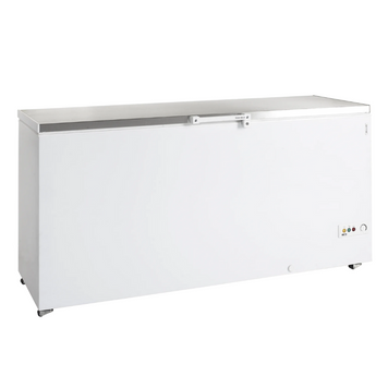 Сундук морозильный Tefcold FR605S SL FR605S SL фото