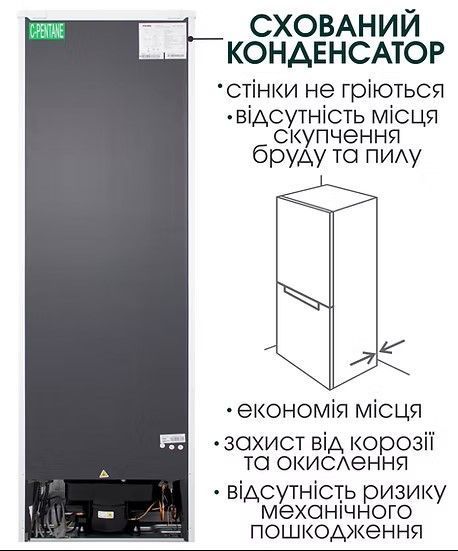 Холодильник RFS 1701 M RFS 1701 M фото