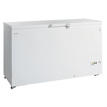 Сундук морозильный Tefcold FR505 SL FR505 SL фото
