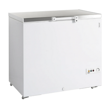 Сундук морозильный Tefcold FR305S SL FR305S SL фото